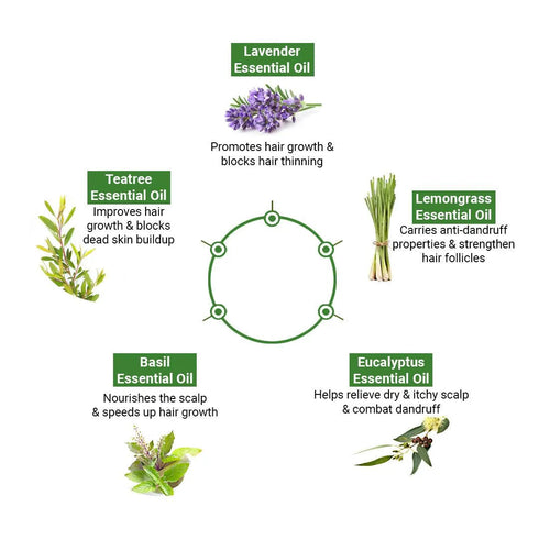 Keya Seth Aromatherapy Absolute Hair Growth Serum Treatment Kit Shampoo & Solution with Biotin, Rosemary & Ginseng