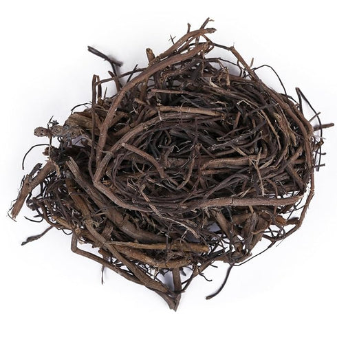 Yuvika Bad ki Dari - Ficus Benghalensis