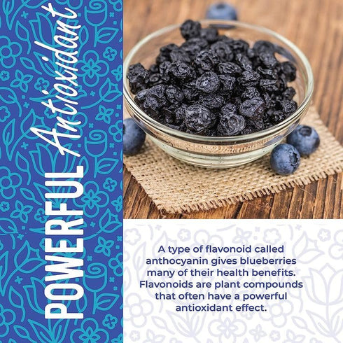Bombay Snacking Company Dried Blueberries 100gm
