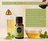 Oregano Essential Oil for Aromatherapy & Diffuser