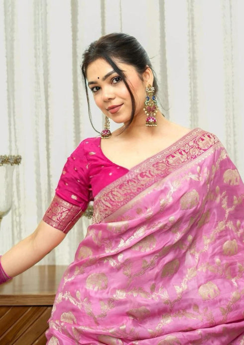 Vasthrlay Banarasi Elephant Unstitched Saree