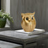 Modern Classy Lucky Owl Showpiece