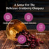 7 BAZAARI Dried Chatpata Cranberries 180gm