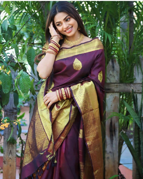 Vasthrlay Banarasi Saree