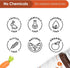 Naturalis Essence of Nature Carrot Seed Essential Oil