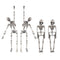 Halloween Skull Earrings for Women