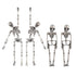Halloween Skull Earrings for Women