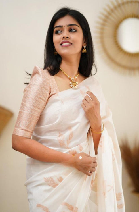 Vasthrlay Banarasi Traditional Saree