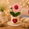 Handmade Crochet Flower Pot Set