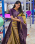 Vasthrlay Banarasi Saree