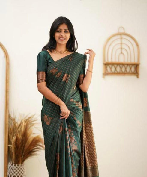 Vasthrlay Banarasi Traditional Saree