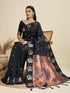 Vasthrlay Banarasi Jacquard Paithani