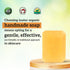 Inatur Sandal And Turmeric Handmade Soap