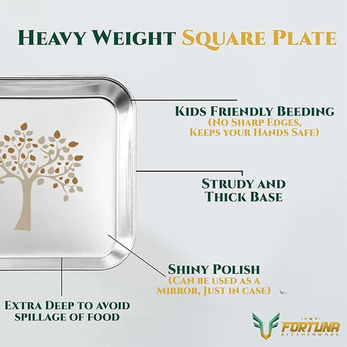 Stainless Steel Square Plate Set of 6