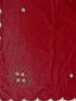 Vasthrlay Georgette Sequins Red Saree