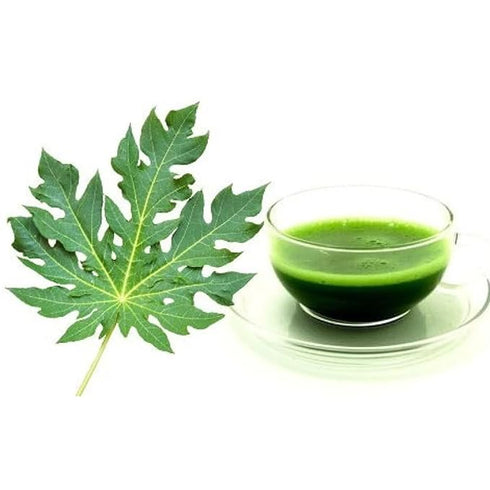 NeutraVed Papaya Leaf Tea 40 Tea Bags