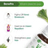 Naturalis Essence of Nature Lemongrass Essential oil