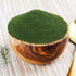 Nature Vit Natural Spirulina Powder
