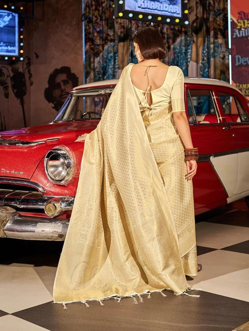 Vasthrlay Banarasi Jacquard Traditional