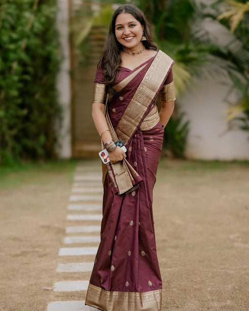 VasthrlayBurgundy Banarasi Kanchipuram Saree