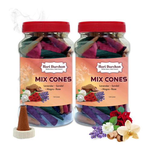 Hari Darshan Natural Dhoop Cones Mix - 240 Cones