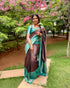 Vasthrlay Banarasi Saree