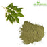 Shudh Online Sheesham Leaves dry powder