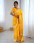Vasthrlay Banarasi Weaving Unstitched Blue Saree