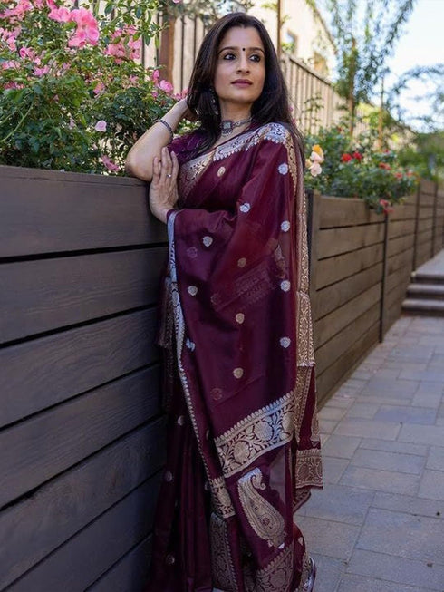 Vsathrlay Banarasi Kanchipuram Saree