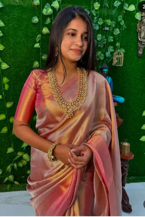 Vasthrlay Kanjivaram Organza Tissue Ethnic Wear