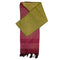 Vasthrlay Brown Bhagalpuri Saree