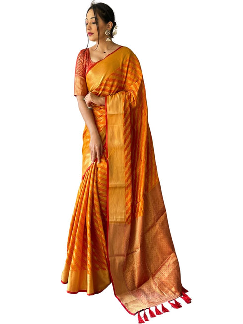 Vasthrlay Leriya Patola Banarasi Ethnic Wear