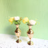 Pure Brass Flower Vase Set of 2