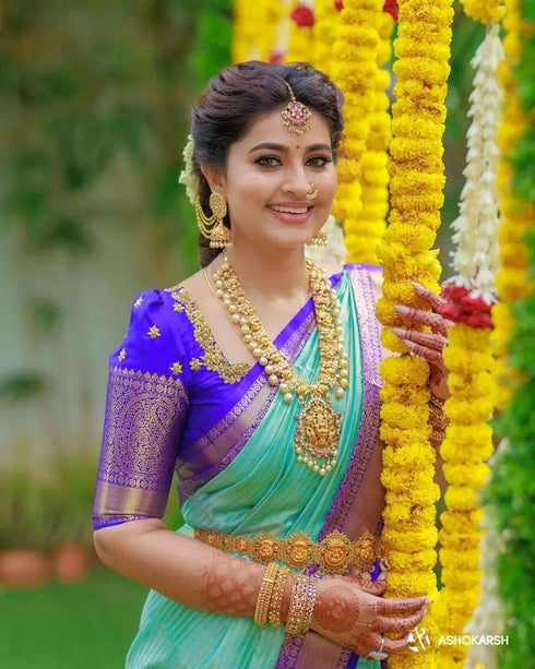 Vasthrlay Banarasi Kanjivaram Az Ys Og Sarkar Blue Ethnic Wear