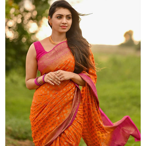 Vasthrlay Kanjivaram Saree