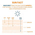 Avene Ultra Fluid SPF 50+ Invisible Sunscreen