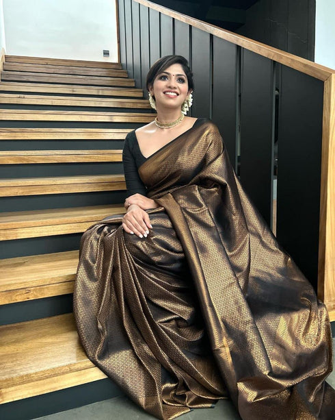 Vasthrlay Banarasi Border Saree