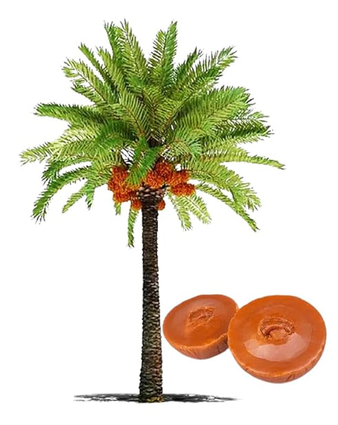 Bengal Made Khejur Gurer Patali | Date Palm Jaggery-500g
