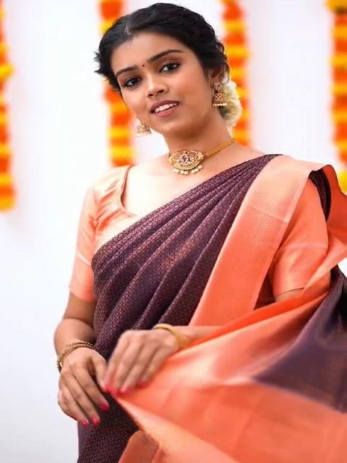 Vasthrlay Banarasi Traditional Saree