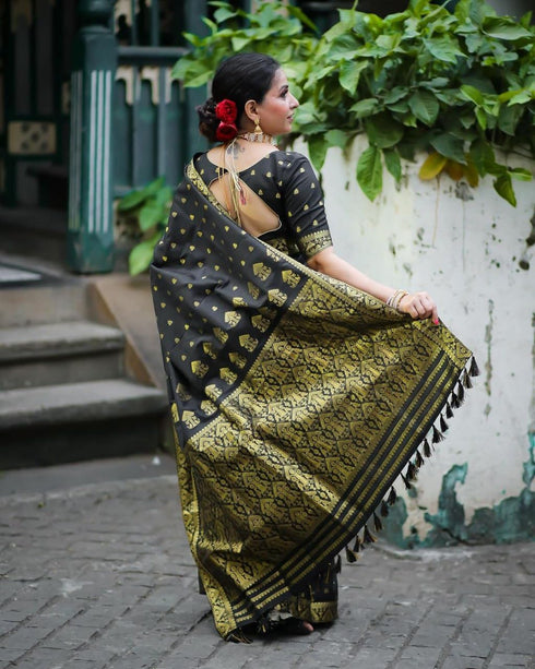 Vasthrlay Kanjivaram Border Saree