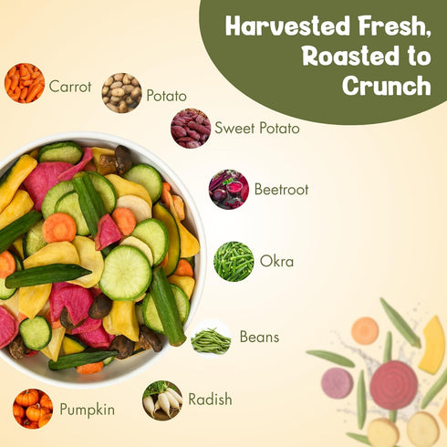 Vacuum Cooked Mix Vegetable Chips