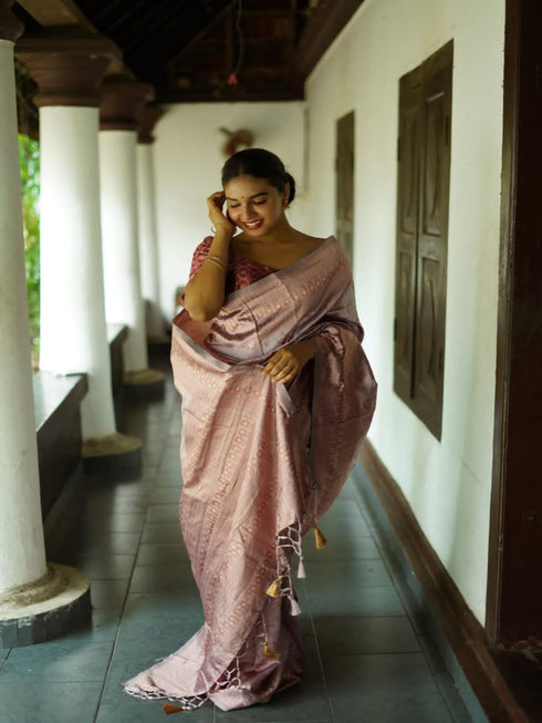 Vasthrlay Banarasi Border Saree