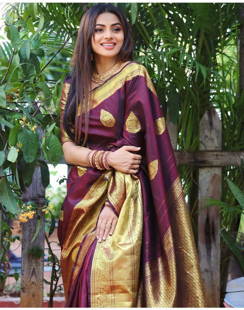 Vasthrlay Banarasi Saree