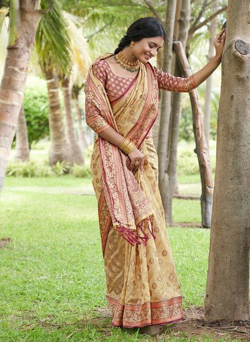 Vasthrlay Organza Kanjivaram Handloom Ethnic Wear