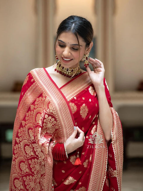Vasthrlay Banarasi Saree