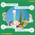 Kids Sunscreen | SPF 50 PA+++ | UVA UVB | Hypoallergenic