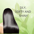 Havintha - Herbal Natural Hair Conditioners For Men And Women