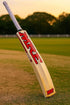 AEM® Himachal Willow Wooden Cricket Bat with Cover