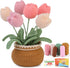 Crochet Set, Crochet Kit for Beginners & Adults