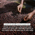 Love Beauty And Planet Coffee and Warm Vanilla Body Wash